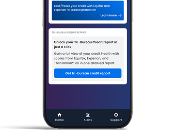 iPhone showing a monthly credit report