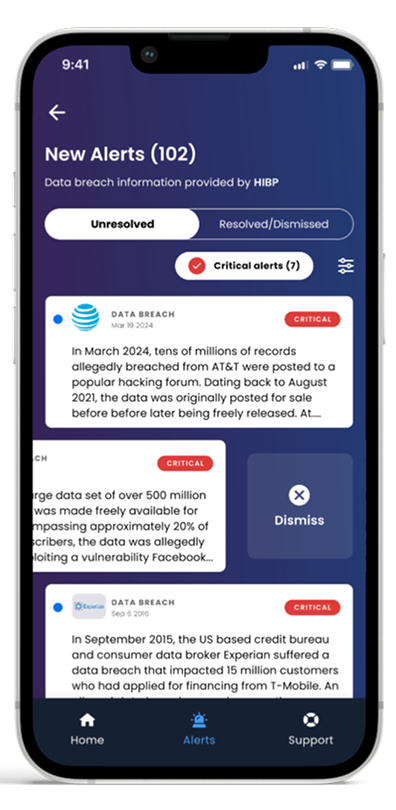 Credit monitoring dashboard