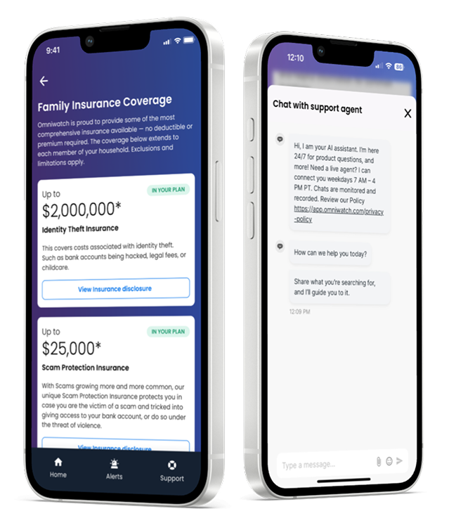 Expert identity theft resolution illustration
