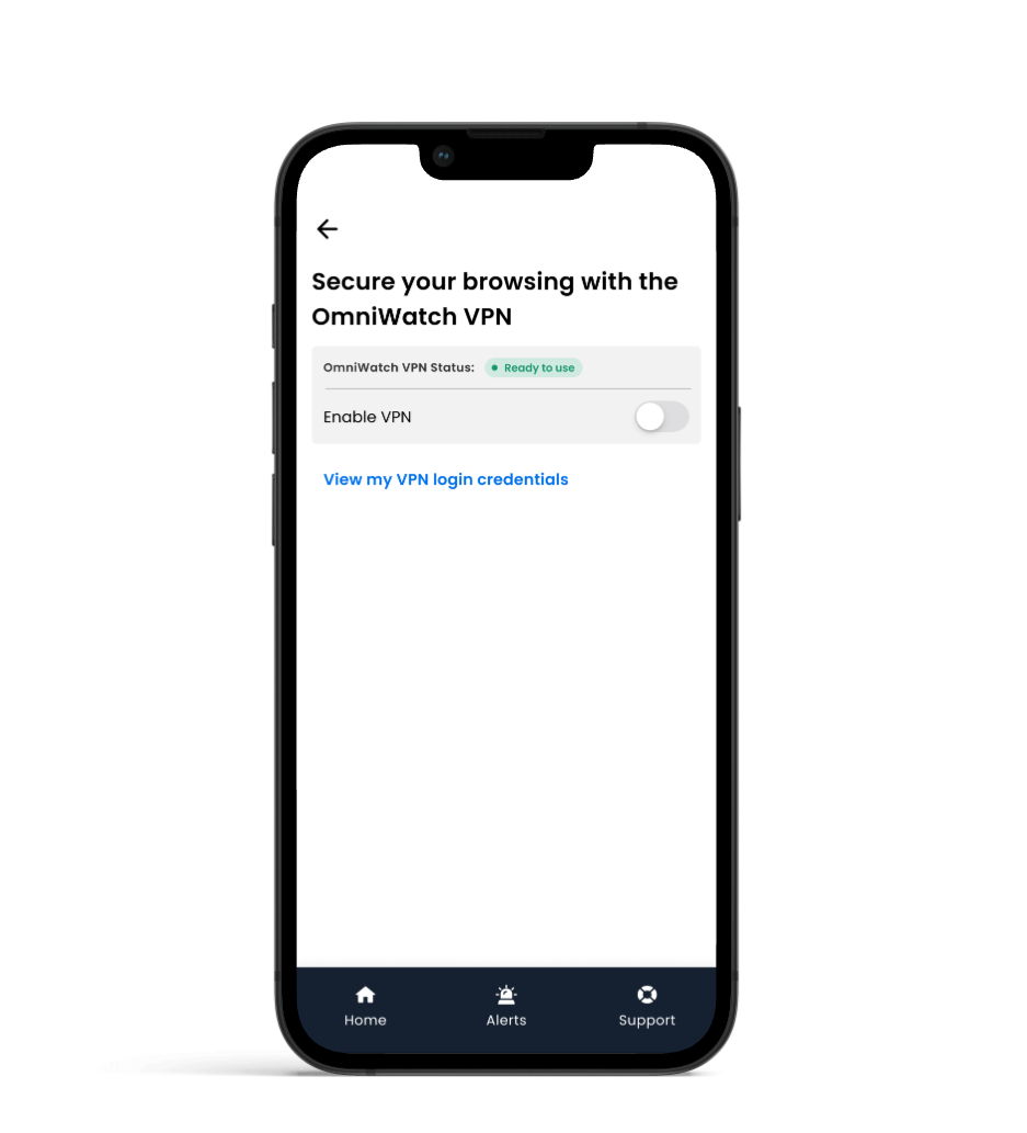 VPN protection shield